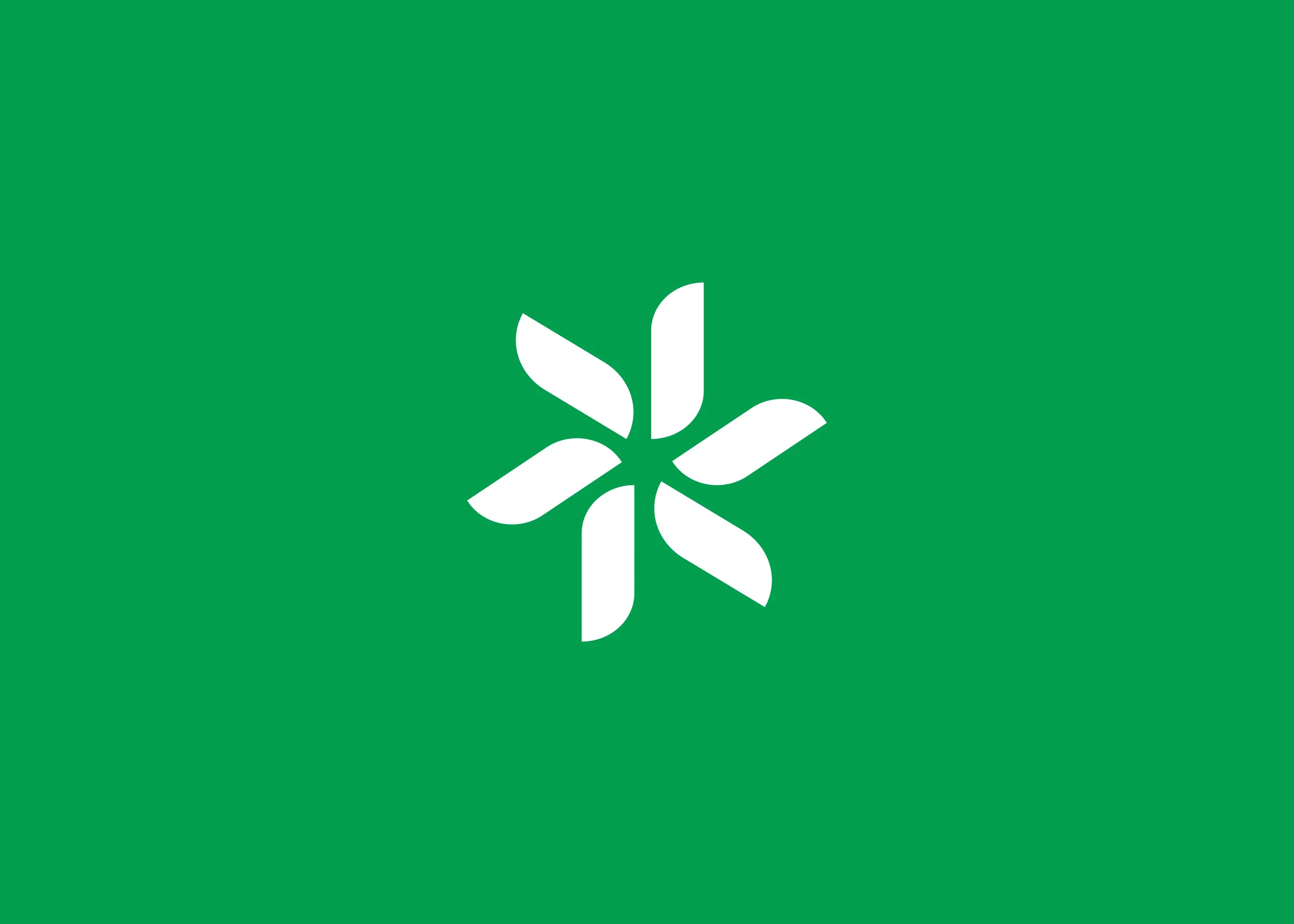 Bazare brand symbol in white on a green field