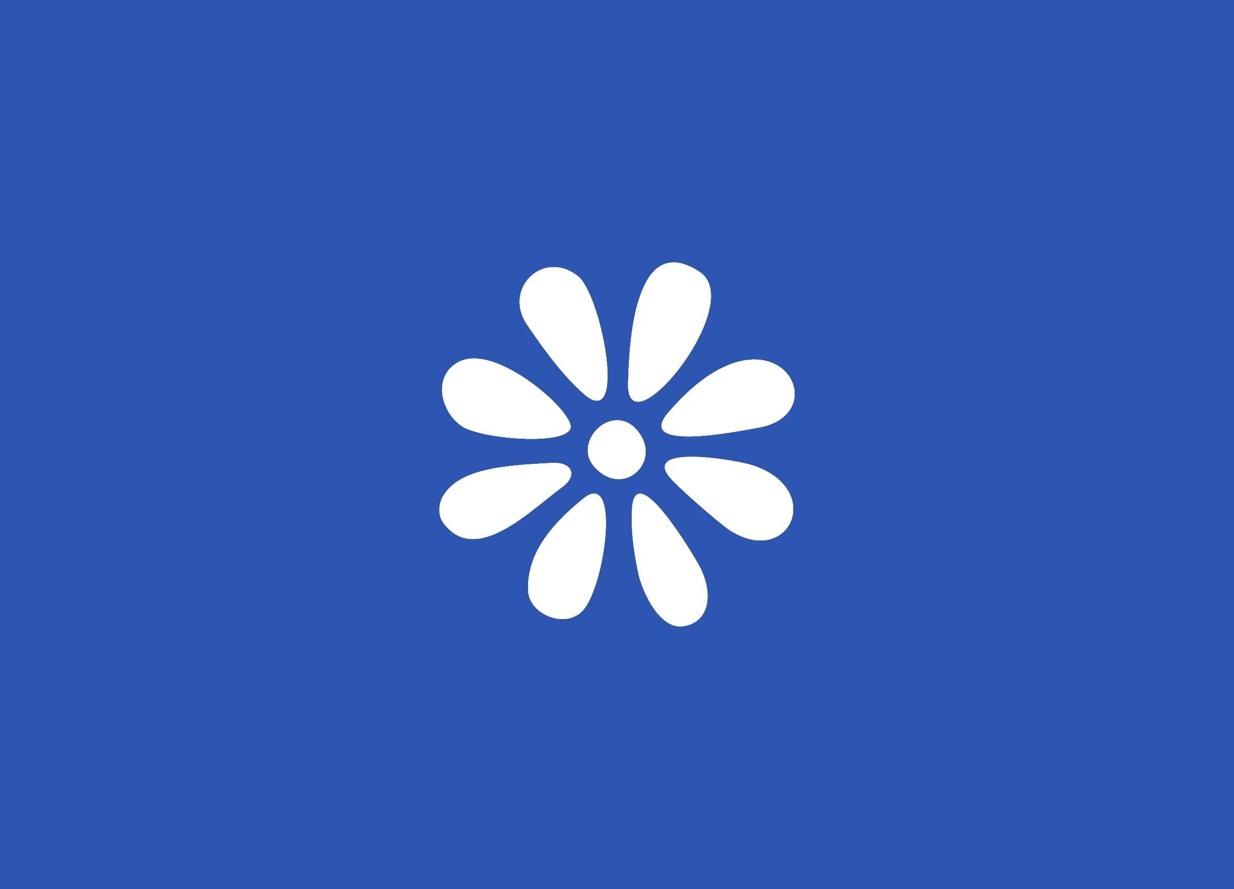 Mamana blue flower project cover
