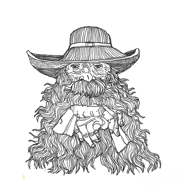Bearded hat character study