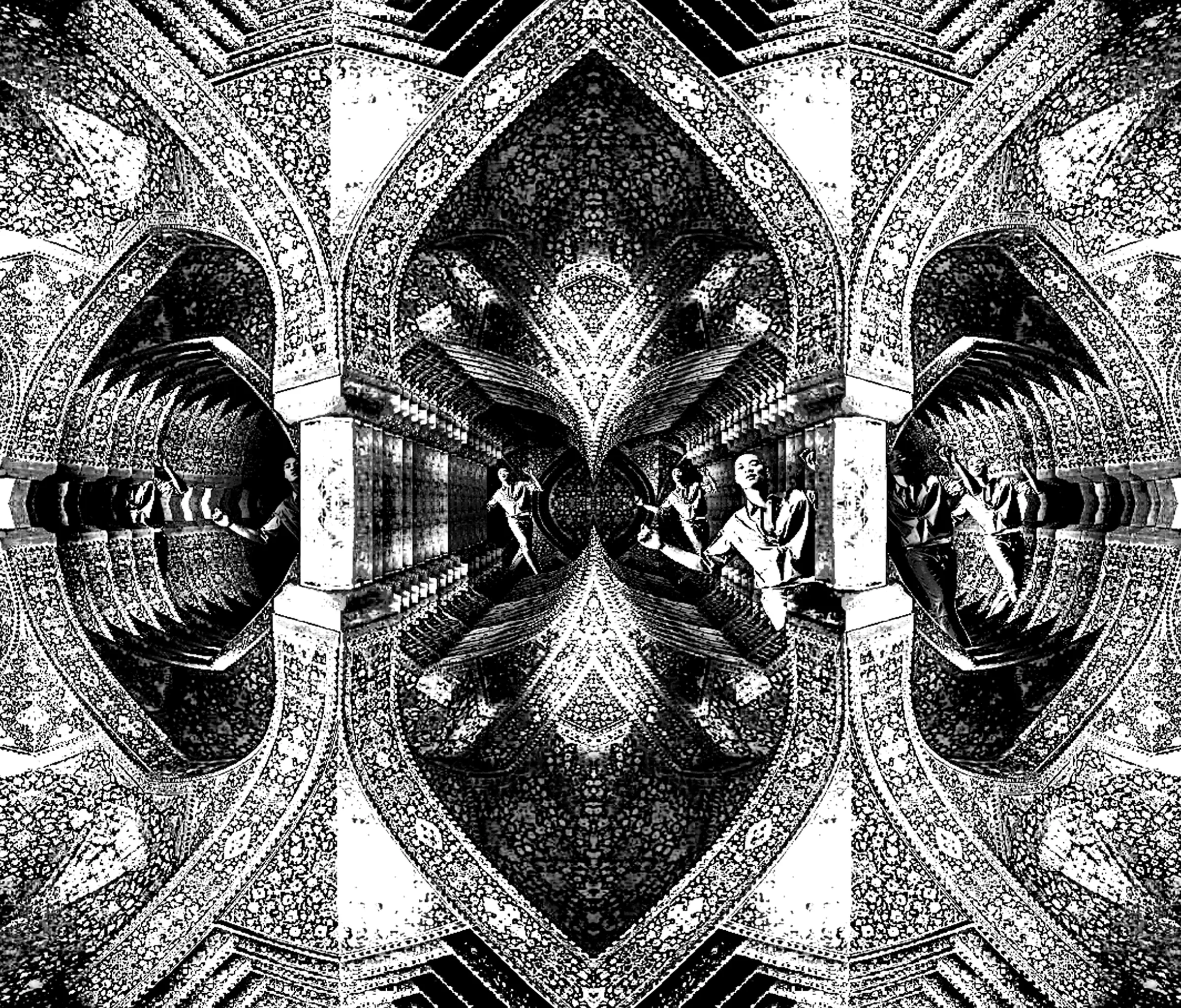Black and white ornamental hall study