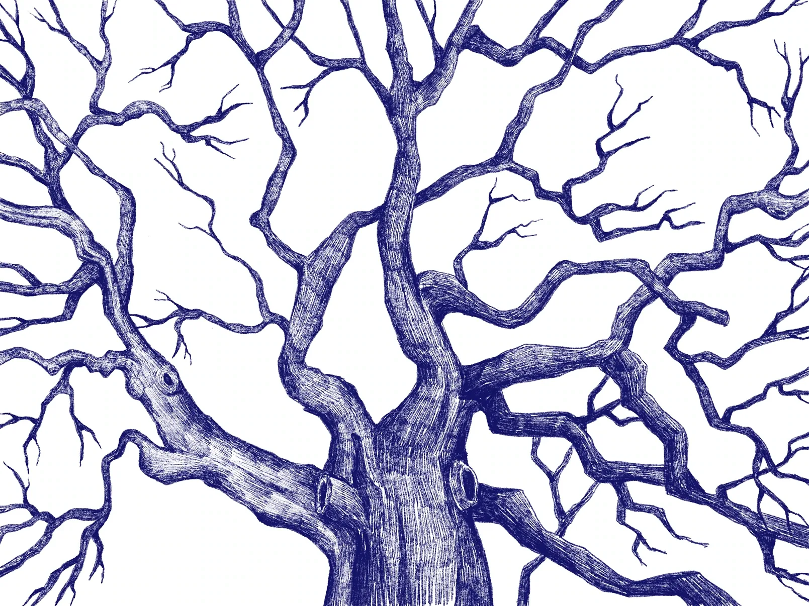 Branching tree study