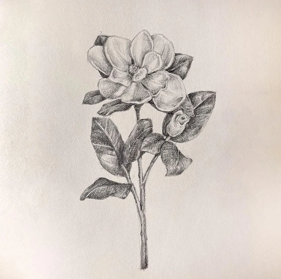 Botanical flower study