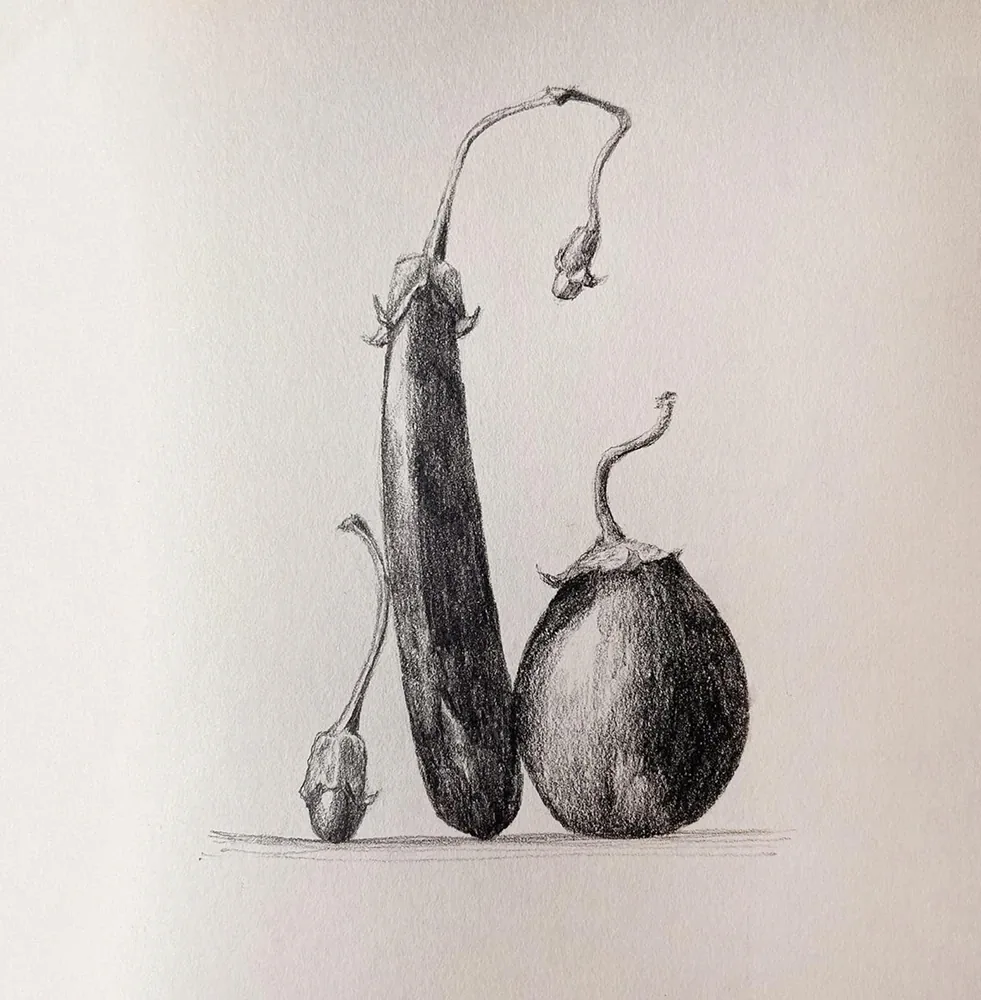 Pear still-life sketch